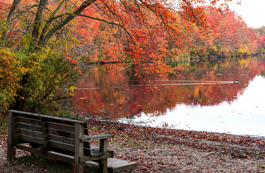 A peaceful bench overlooks Southards Pond, where brilliant shades of red, orange, and gold reflect across the calm water during Long Island's colorful autumn season. Fall is widely considered one of the best times to visit, offering comfortable temperatures, vibrant foliage, and scenic landscapes throughout the island. File photo: WoodysPhotos, licensed.