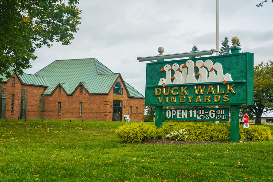 Duck Walk Vineyards welcomes visitors to Long Island Wine Country, where vineyards, tasting rooms, and cellar doors stretch across the North Fork and into the South Fork. Today, Long Island is home to more than 40 public-facing wineries and vineyard destinations.