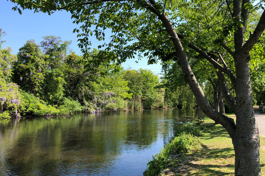A tranquil spring view along Carlls River in Babylon, where calm water winds through a lush corridor of mature trees and flowering vegetation. The scene highlights the river’s peaceful freshwater setting and the green parkland that follows its course through the Town of Babylon.