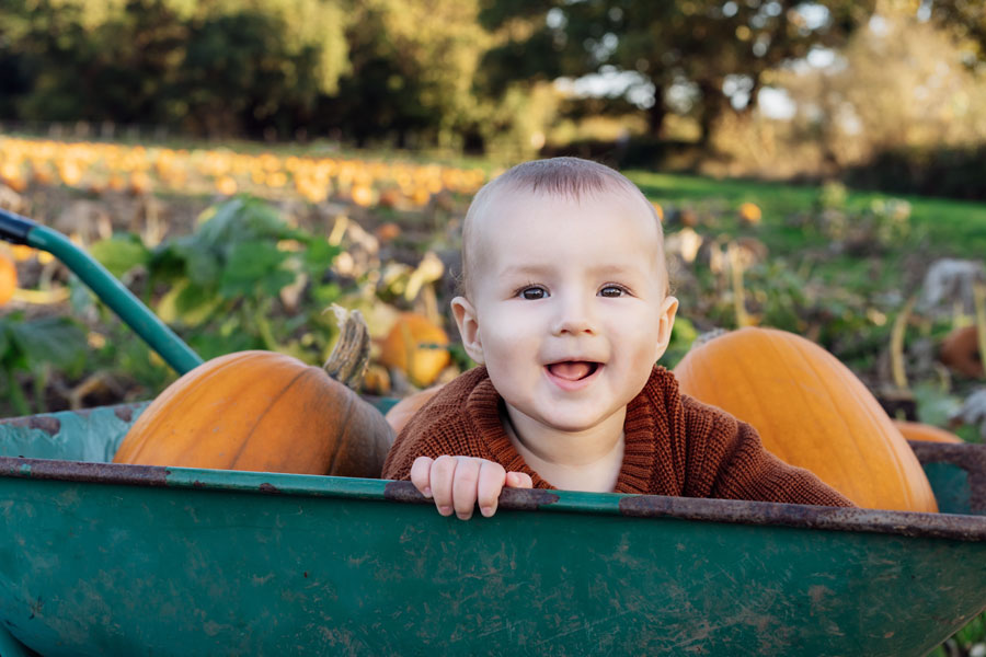 A young child enjoys a fall day at a Long Island farm, surrounded by pumpkins and harvest fields from the seat of a farm wagon. Seasonal farm festivals across the Island offer pumpkin picking, hayrides, corn mazes, animals, and other family-friendly autumn activities.