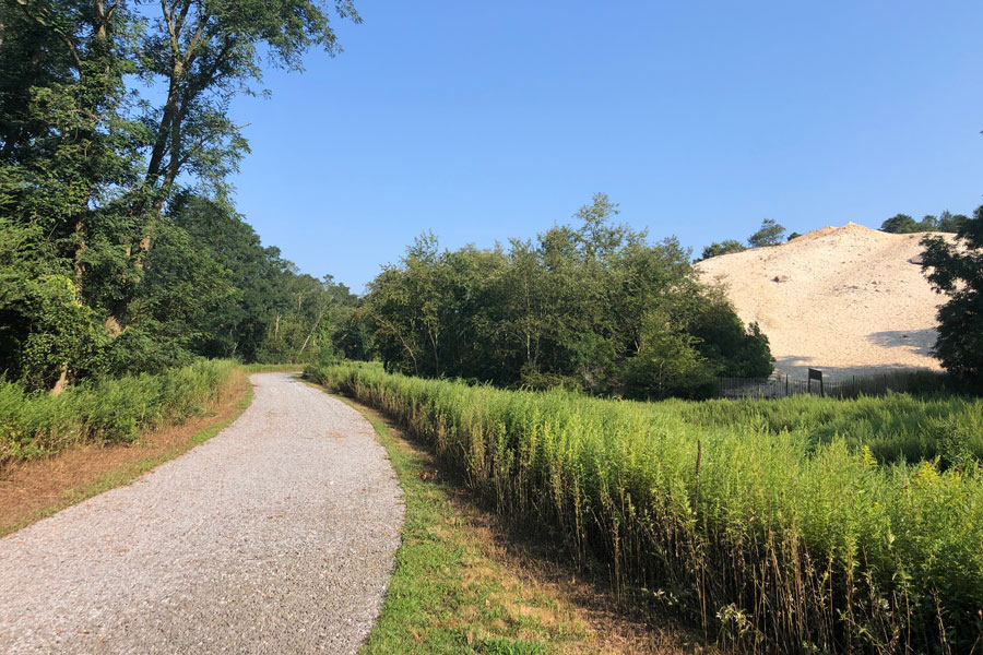 A Path Through Hallock State Park Preserve in Riverhead, New York