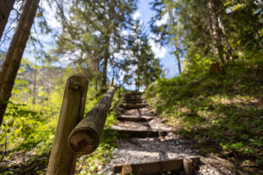 A wooded hiking trail climbs gently through Long Island’s natural landscape, with rustic steps leading beneath a canopy of trees. Trails like these offer visitors a quieter way to explore the island’s parks, preserves, forests, and coastal habitats.