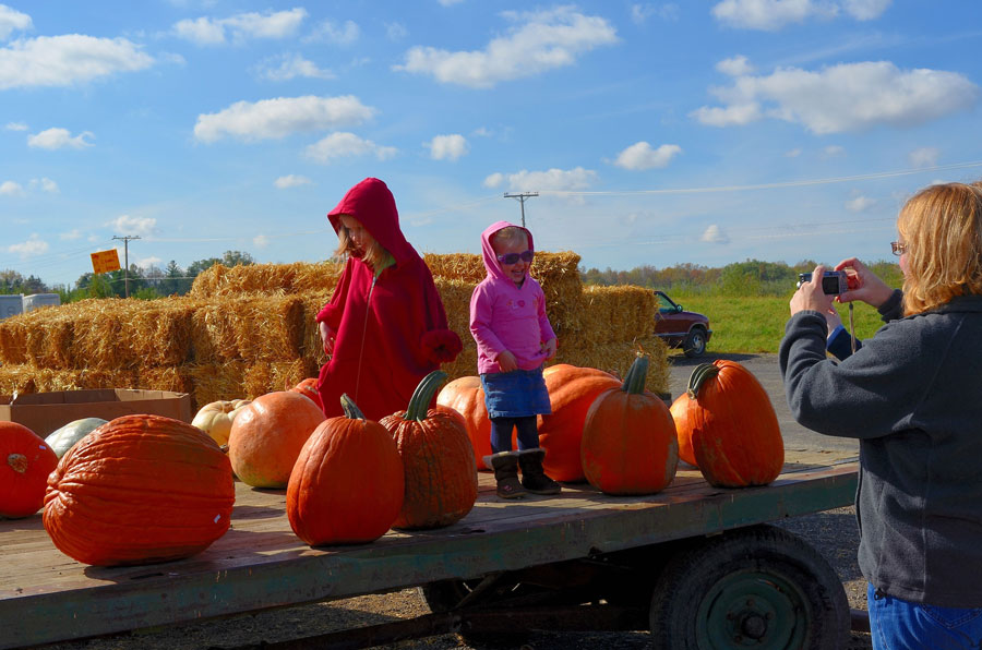 Families enjoy a classic fall pumpkin-picking outing on Long Island, with children posing among oversized pumpkins while hay bales and open farmland create a festive harvest-season backdrop. Pumpkin farms across the Island offer a mix of picking, hayrides, corn mazes, seasonal treats, and family-friendly autumn activities.