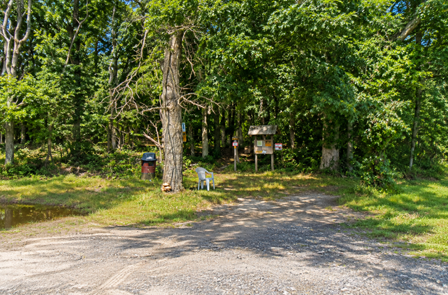 The entrance to the Calverton Mountain Bike Trail is located along Middle Country Road (Route 25) at Calverton Pine Barrens State Forest in Suffolk County. The trailhead provides access to the state forest’s extensive single-track mountain-biking system, including an approximately 8.5-mile main loop and optional advanced sections.