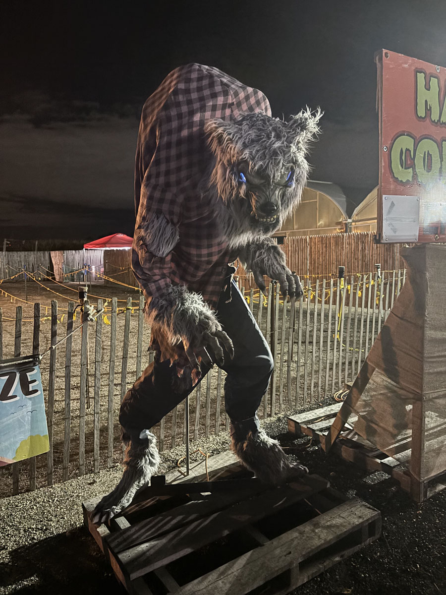 A towering werewolf greets visitors at Schmitt’s Farm Haunt in Melville during the 2024 Halloween season. The longtime Long Island attraction combines large-scale characters, sets and live scares throughout its seasonal haunt. Photo: LongIslandGuide.com, 2024.