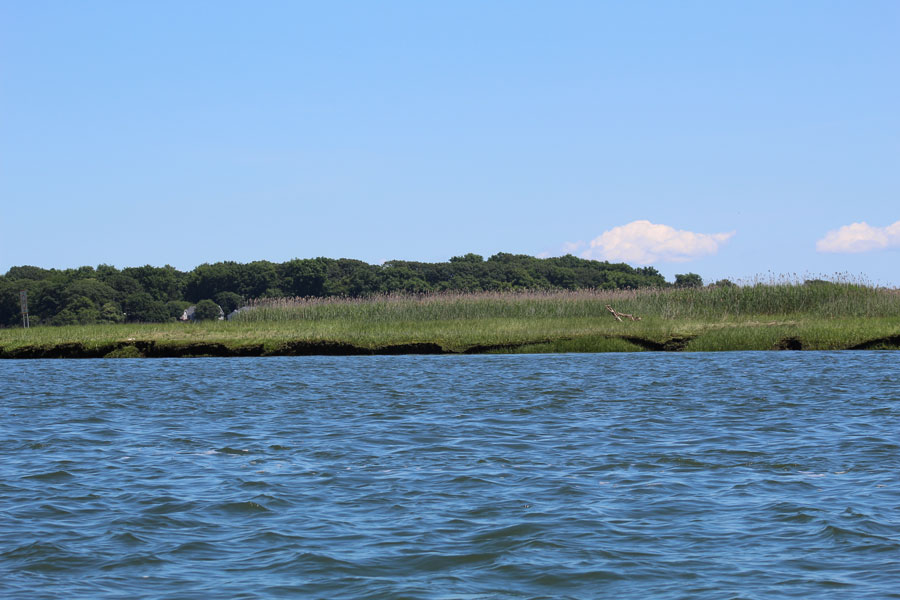 A marsh-lined shoreline along Long Island Sound illustrates the coastal habitats supported by the region’s waters. Save the Sound’s 2026 report card found that all five open-water regions maintained or improved their grades, while conditions in individual bays and harbors remained uneven. The grades reflect ecological health measured during the 2025 monitoring season, rather than swimming safety. File photo: Sefton N Brown Jnr, licensed.