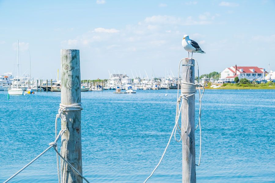 Montauk Lake on Long Island, with boats and marina activity along the shoreline and a seagull perched above the water. The scene reflects the kind of coastal setting that makes Montauk a popular destination for vacation rentals, boating and extended summer stays. File photo: Elzbieta Sekowska, licensed.